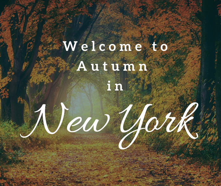 Autumn in New York