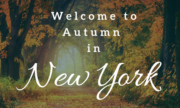 Autumn in New York
